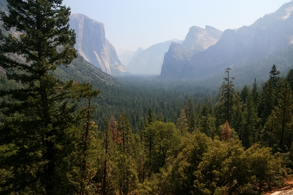 07-07 - 01.JPG - Yosemite National Park, CA